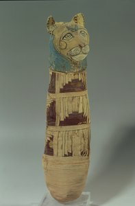 Gemummificeerde kat